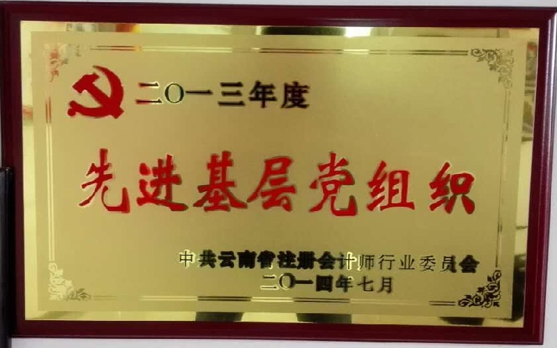 2013年度先进基层党组织.jpg
