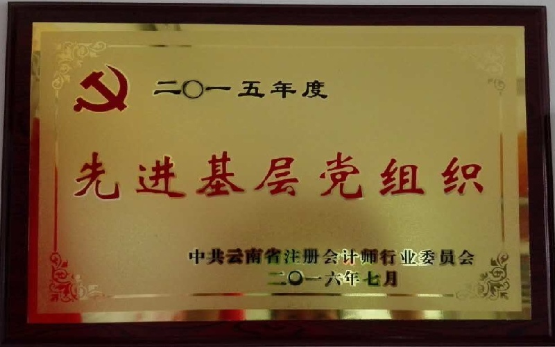 2015年度先进基层党组织.jpg