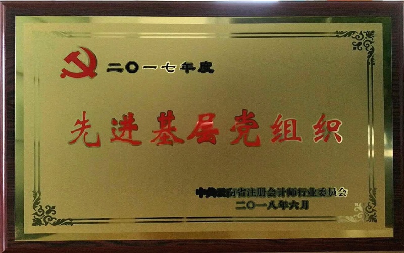 2017年度先进基层党组织.jpg