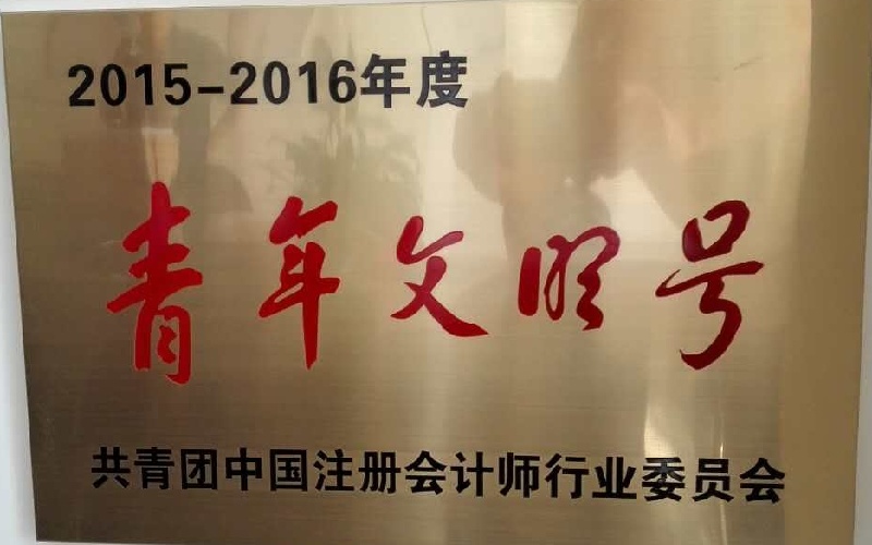 青年文明号-共青团中国注册会计师行业委员会牌匾.jpg