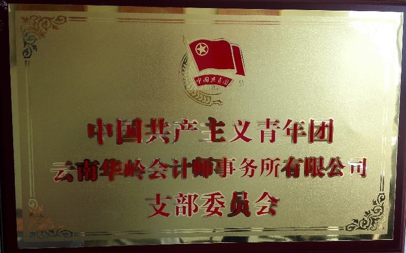 团支部牌匾.jpg