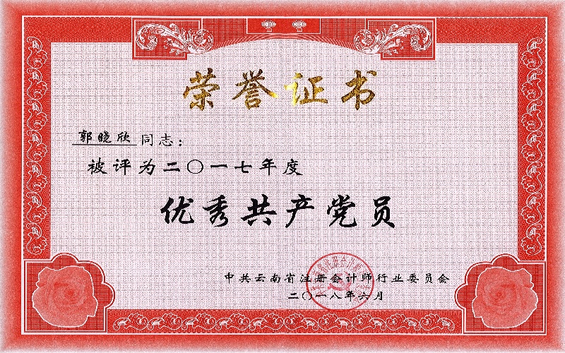 行业党委2017年度优秀共产党员-郭晓欣.jpg
