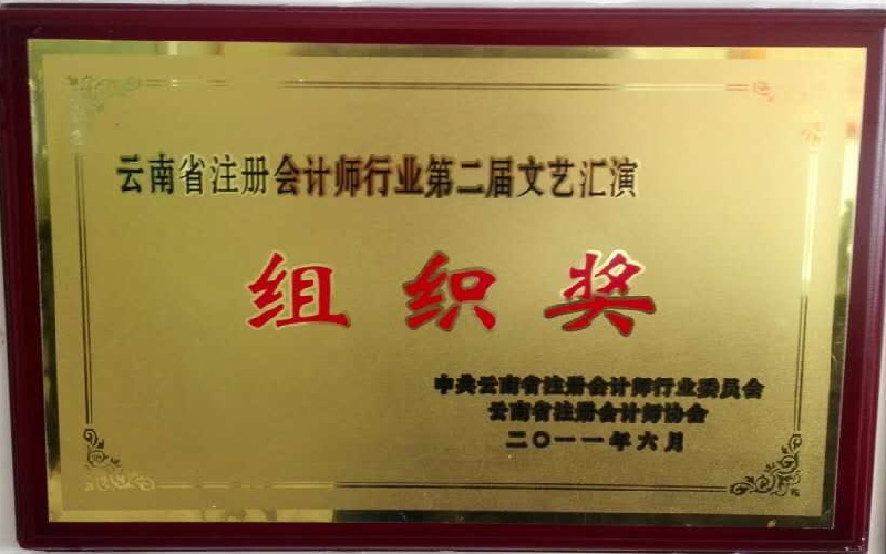 云南省注册会计师行业第二届文艺汇演组织奖2011.6.jpg
