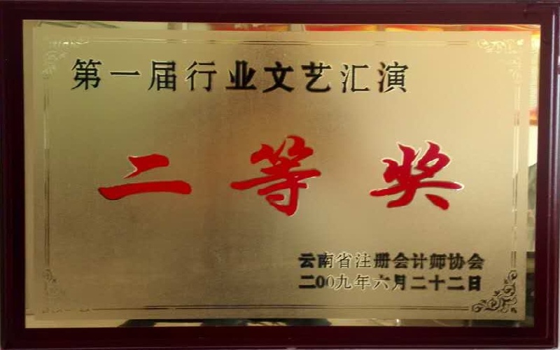 云南省注册会计师行业第一届文艺汇演二等奖2009.6.jpg