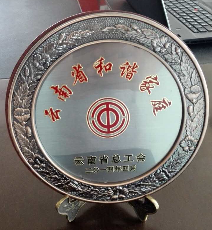 张素华--云南省和谐家庭.jpg