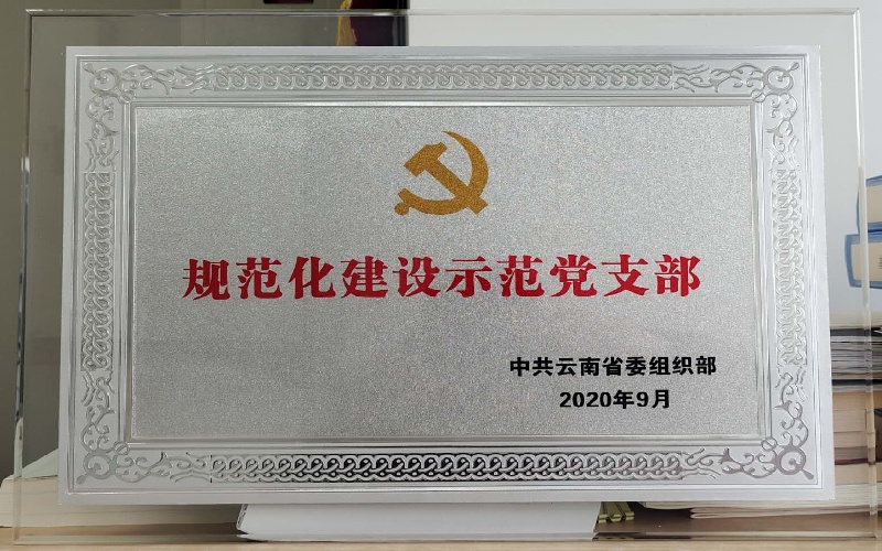 规范化建设示范党支部（省委组织部）.jpg